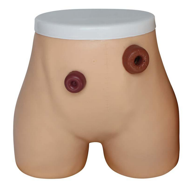 OSTOMY NURSING MODEL - Image 2