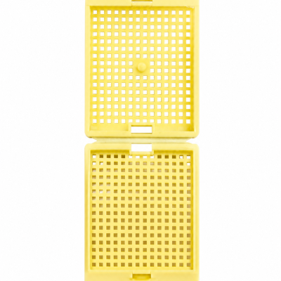 Embedding Histology Cassettes