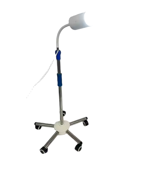 LED examination light with stand