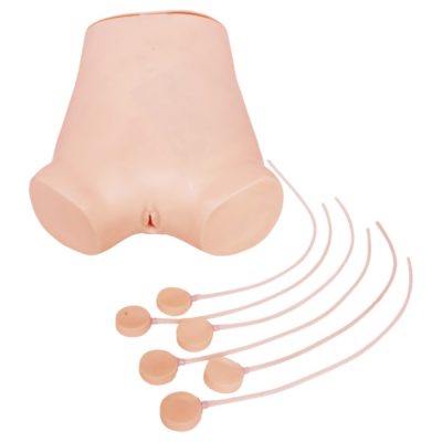 Abdominal Paracentesis Model