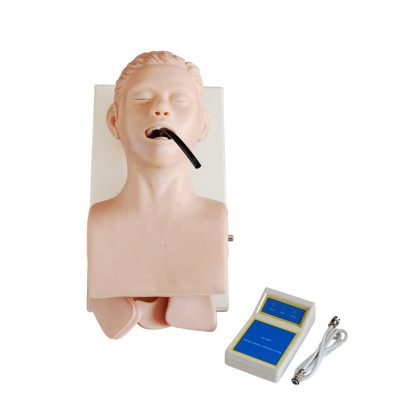Adult Oral Intubation Head