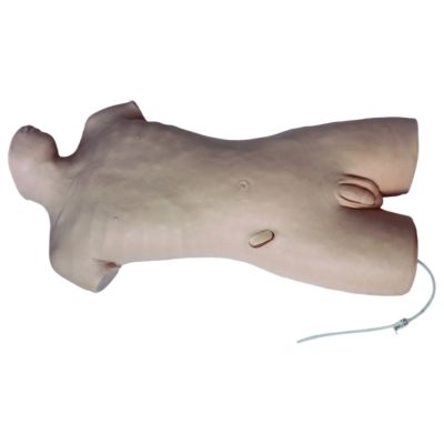 Adult Torso Abdominal Paracentesis Model