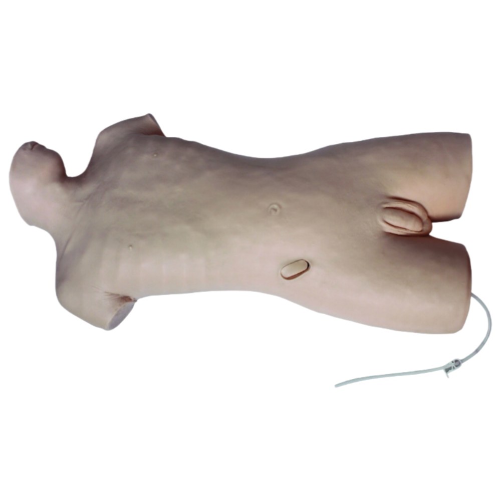 Adult Torso Abdominal Paracentesis Model