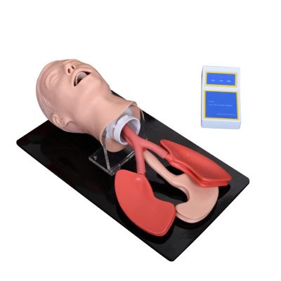 Advanced Adult Intubation Head with Neck Extension