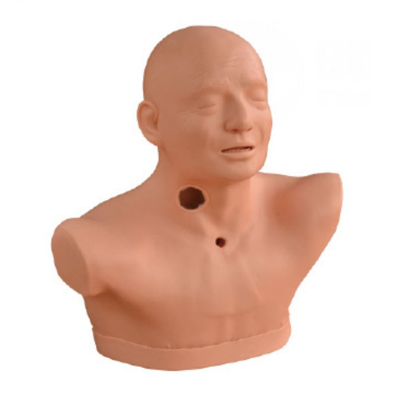 Advanced Adult Tracheostomy Care Model - Image 2