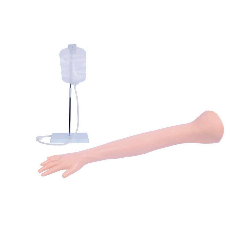 Advanced Child IV & Arterial Puncture Training Arm - Image 2
