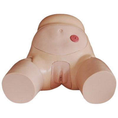 Advanced Female Urinary Catheterisation Simulator