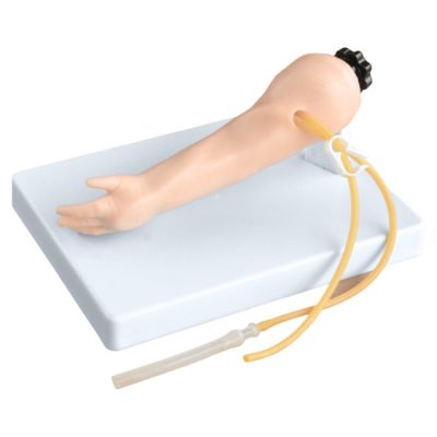 Advanced Infant Venipuncture Arm