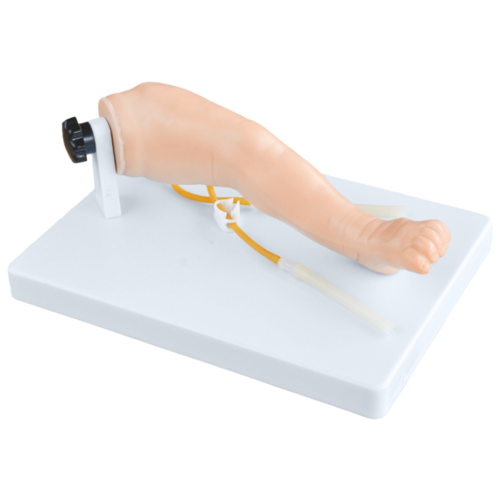 Advanced Infant Venipuncture Leg