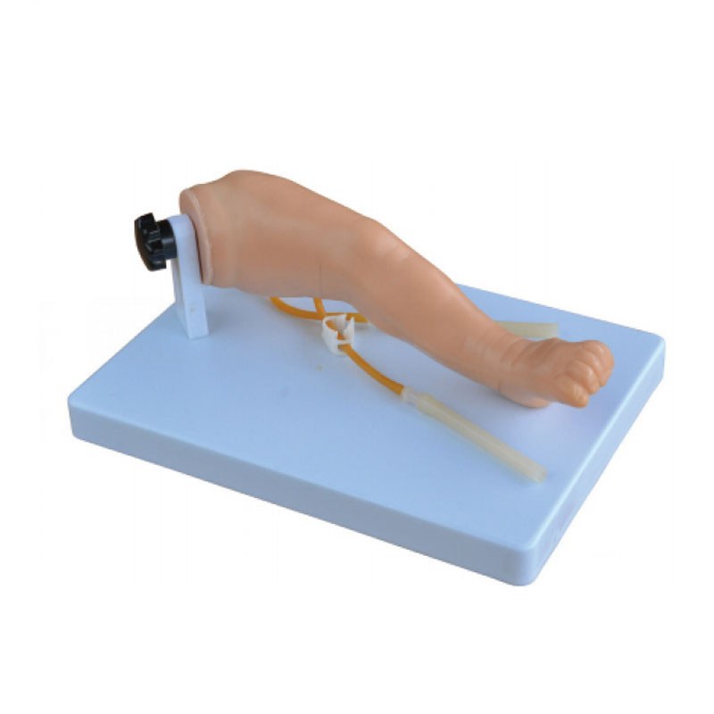 Advanced Infant Venipuncture Leg - Image 2