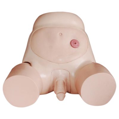 Advanced Male Urinary Catheterisation Simulator