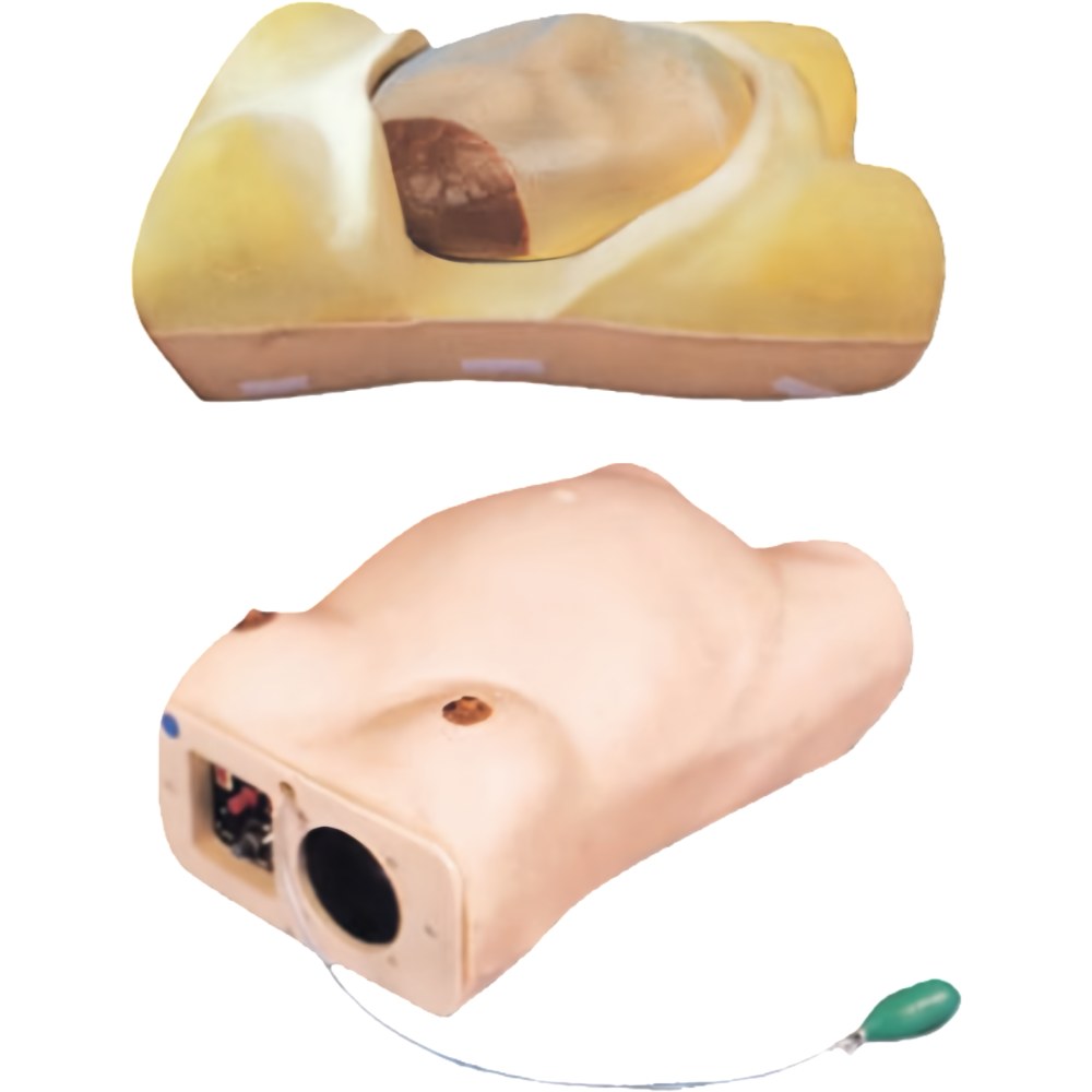 Advanced Maternity Examination Simulator - Image 2