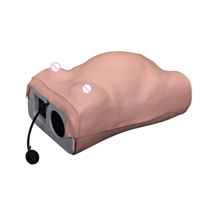 Advanced Maternity Examination Simulator - Image 4