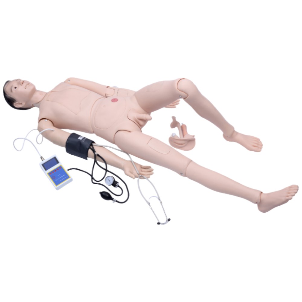 Advanced Nursing Manikin with BP Training Arm – Male - Image 2