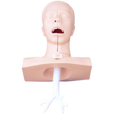 Airway Suction Training Model