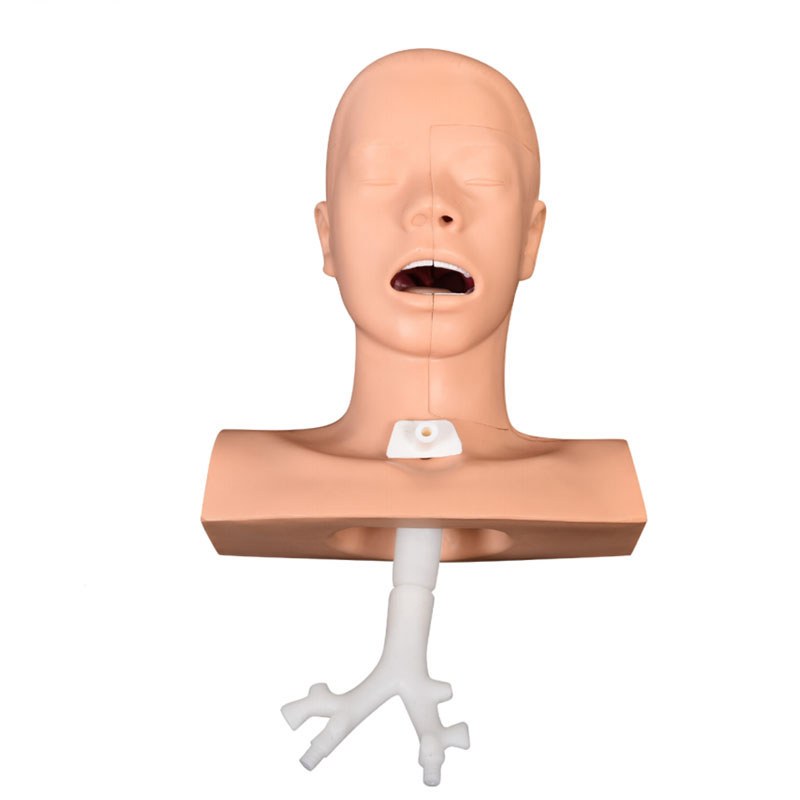 Airway Suction Training Model - Image 4