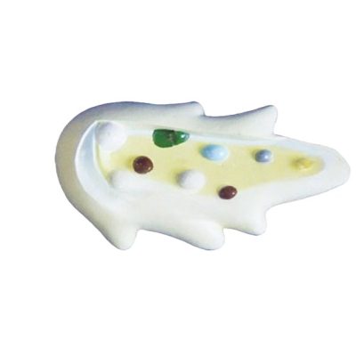 Amoeba Model – Enlarged