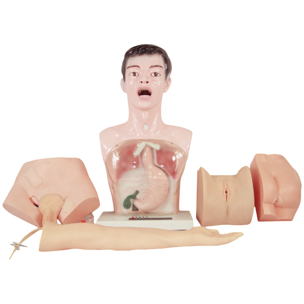 Basic Nursing Skills Teaching Model – 5 Parts, 15 Procedures