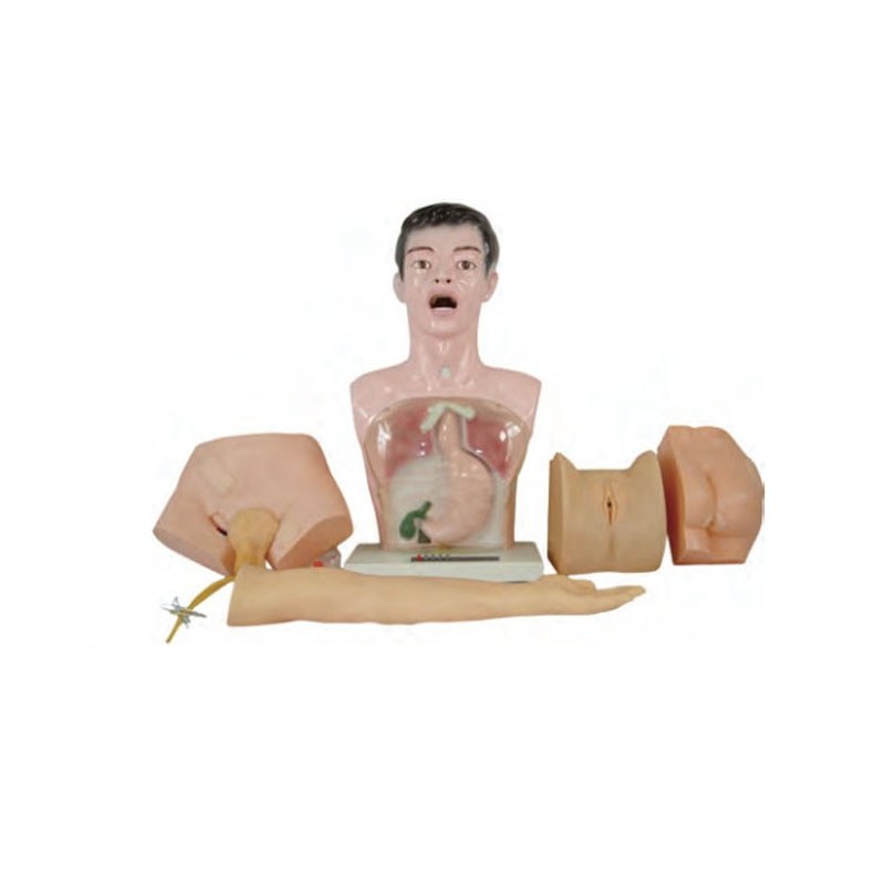 Basic Nursing Skills Teaching Model – 5 Parts, 15 Procedures - Image 2