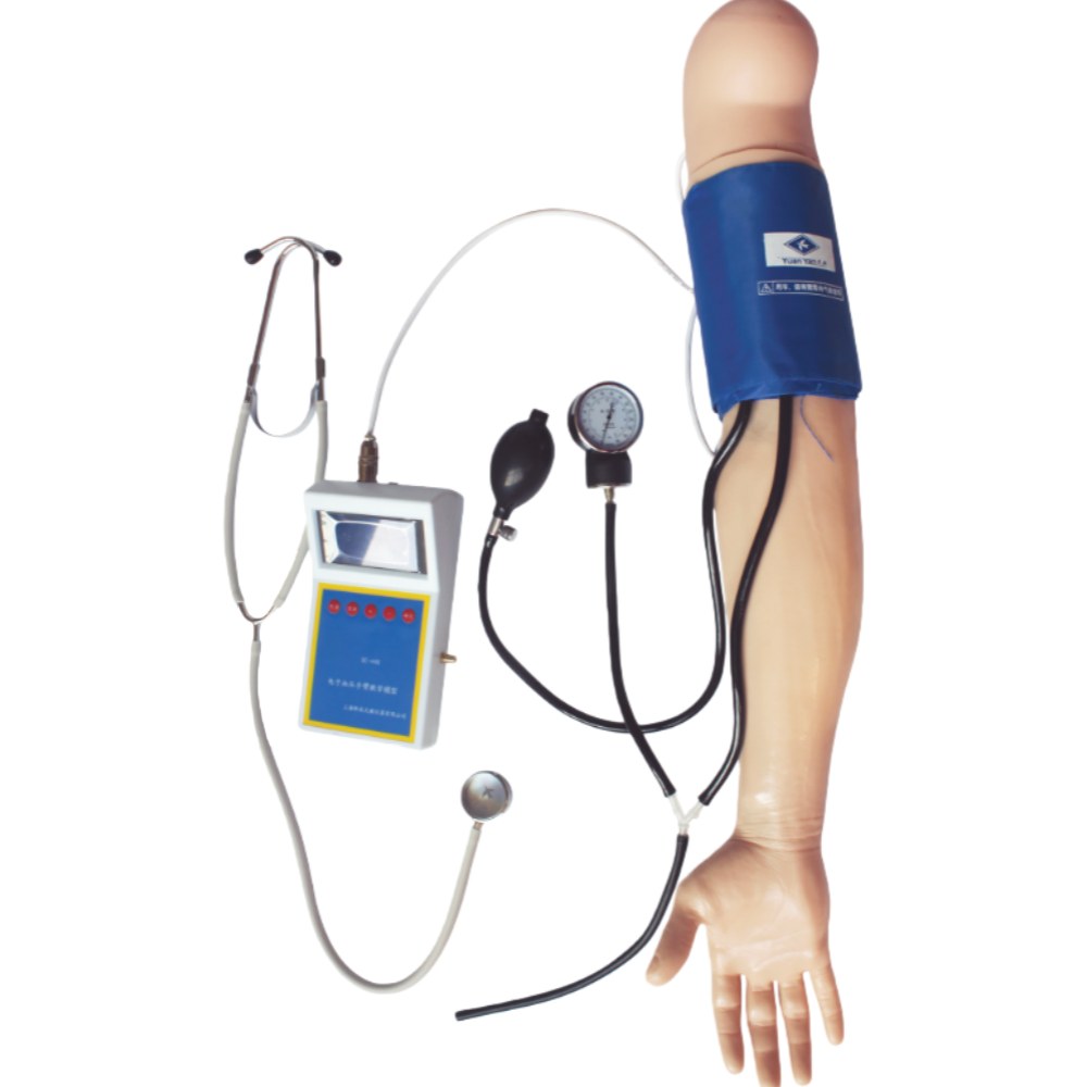 Blood Pressure Training Arm