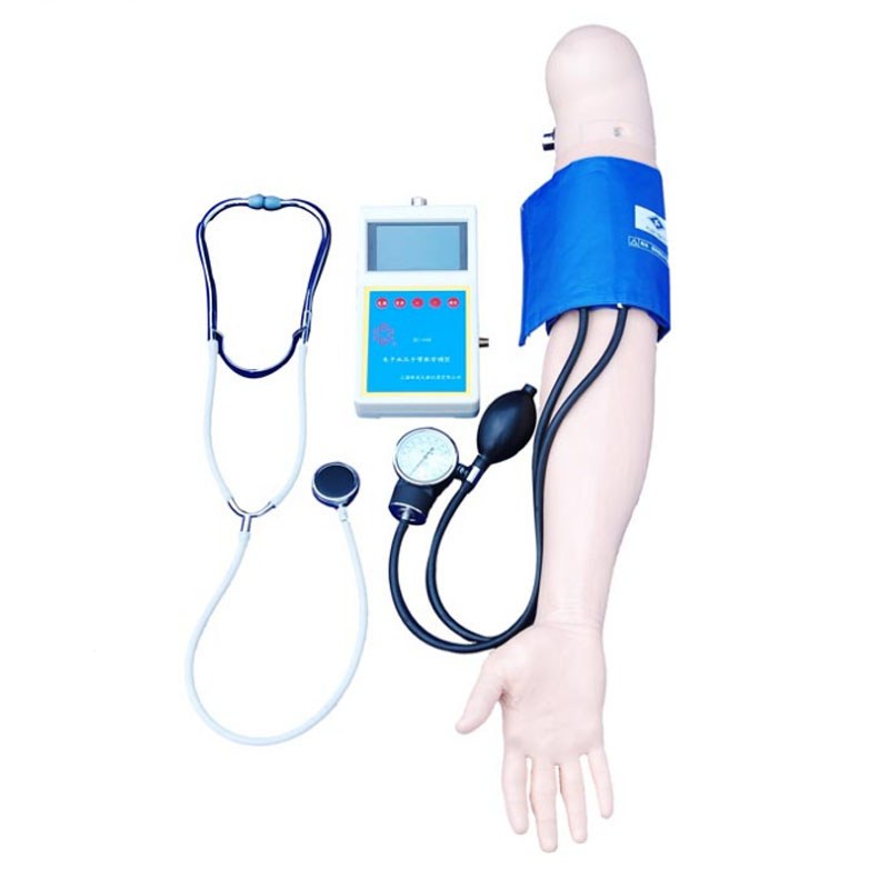 Blood Pressure Training Arm - Image 3