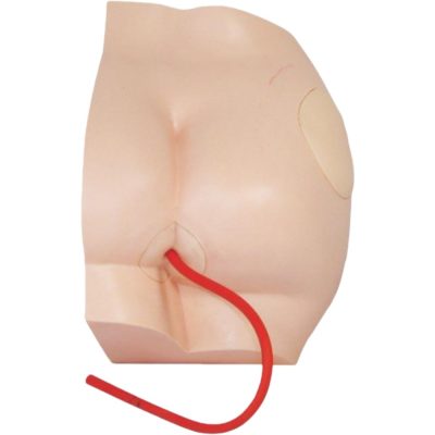 Buttock IM Injection Model