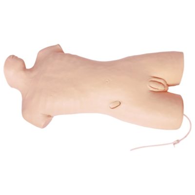 Central Venous Puncture Model – Neck, Subclavian & Femoral