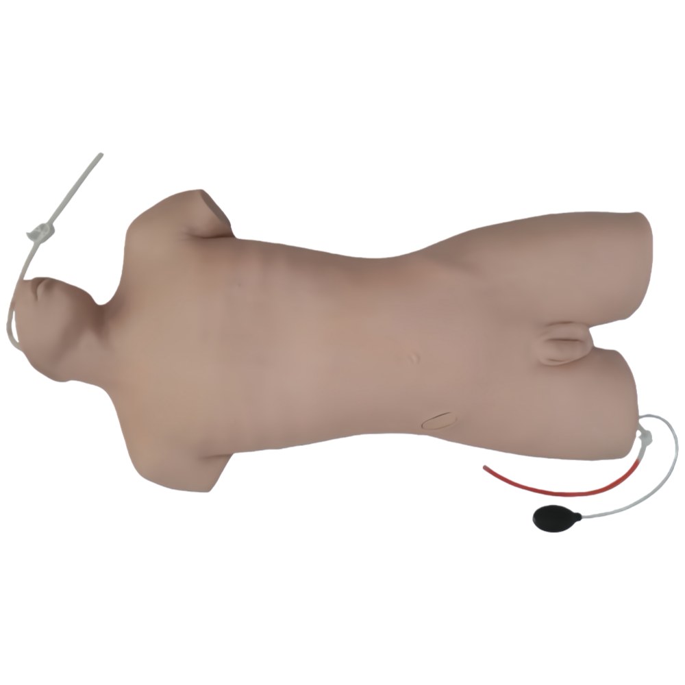 Central Venous Puncture Model – Neck, Subclavian & Femoral - Image 2