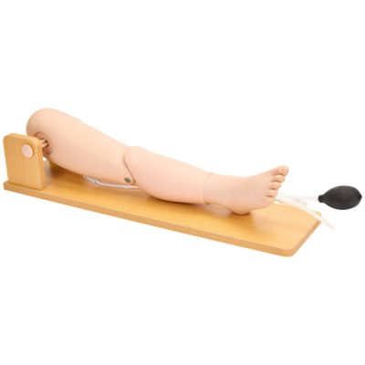 Child Bone Marrow & Femoral Vein Puncture Model