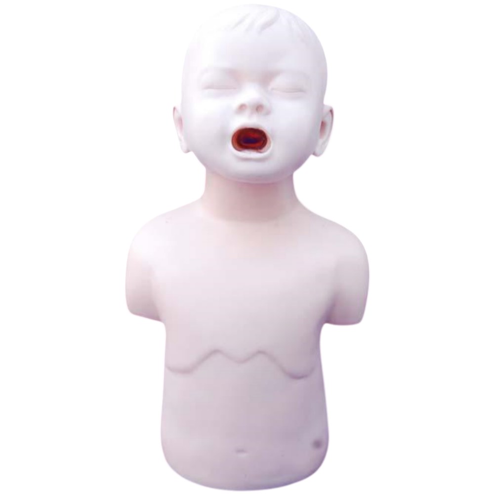 Child Choking (Airway Obstruction) Manikin