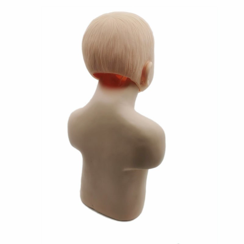 Child Choking (Airway Obstruction) Manikin - Image 4