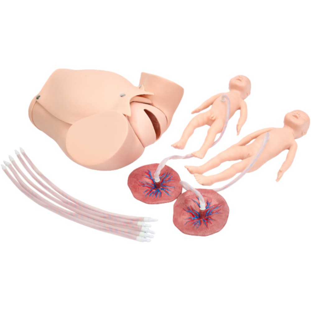 Childbirth Skills Training Simulator