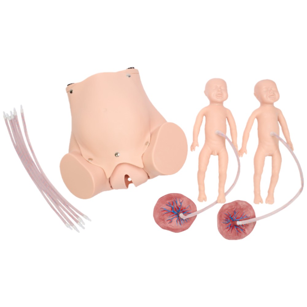 Childbirth Skills Training Simulator - Image 2