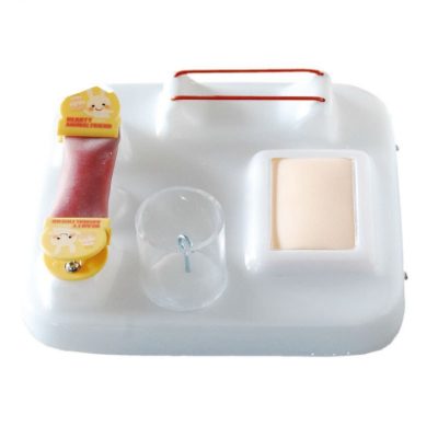 Comprehensive Surgical Skills Trainer – Skin, Vessel & Bowel Modules