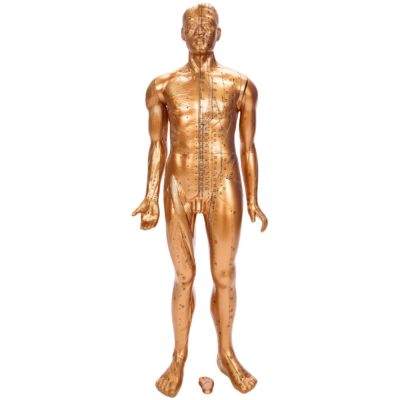 Deluxe Acupuncture Model – 84 cm, Copper Colour