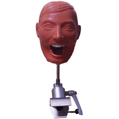 Dental Phantom Head