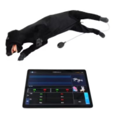 Dog CPR First Aid Manikin