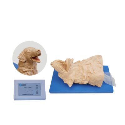Dog Intubation Training Manikin with Voice Feedback