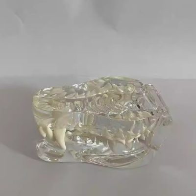 Dog Teeth Model – Style 1