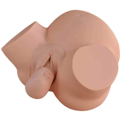 Dystocia (Abnormal Delivery) Training Simulator