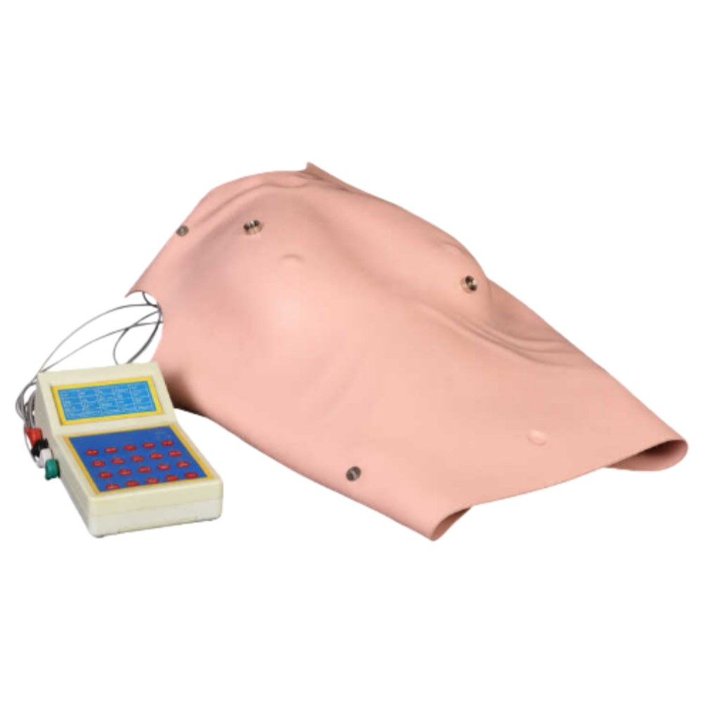 ECG Rhythm Simulator for Defibrillation & Pacing Training