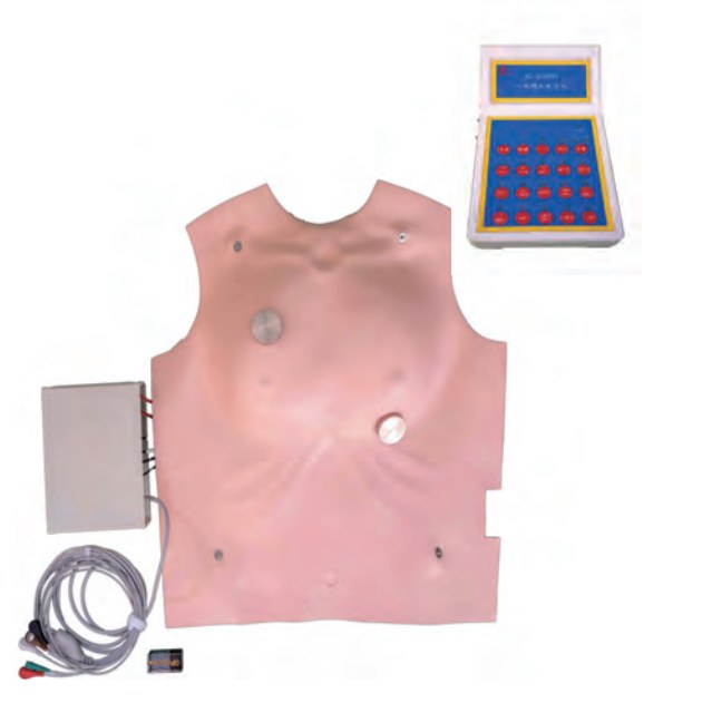 ECG Rhythm Simulator for Defibrillation & Pacing Training - Image 2