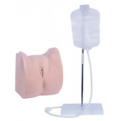 Female Urinary Catheterisation Simulator – Basic, with Enema