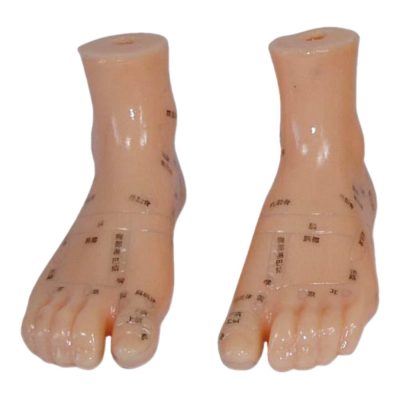 Foot Reflexology Model – 12 cm