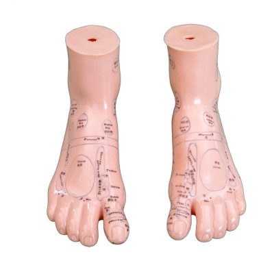Foot Reflexology Model – 17 cm