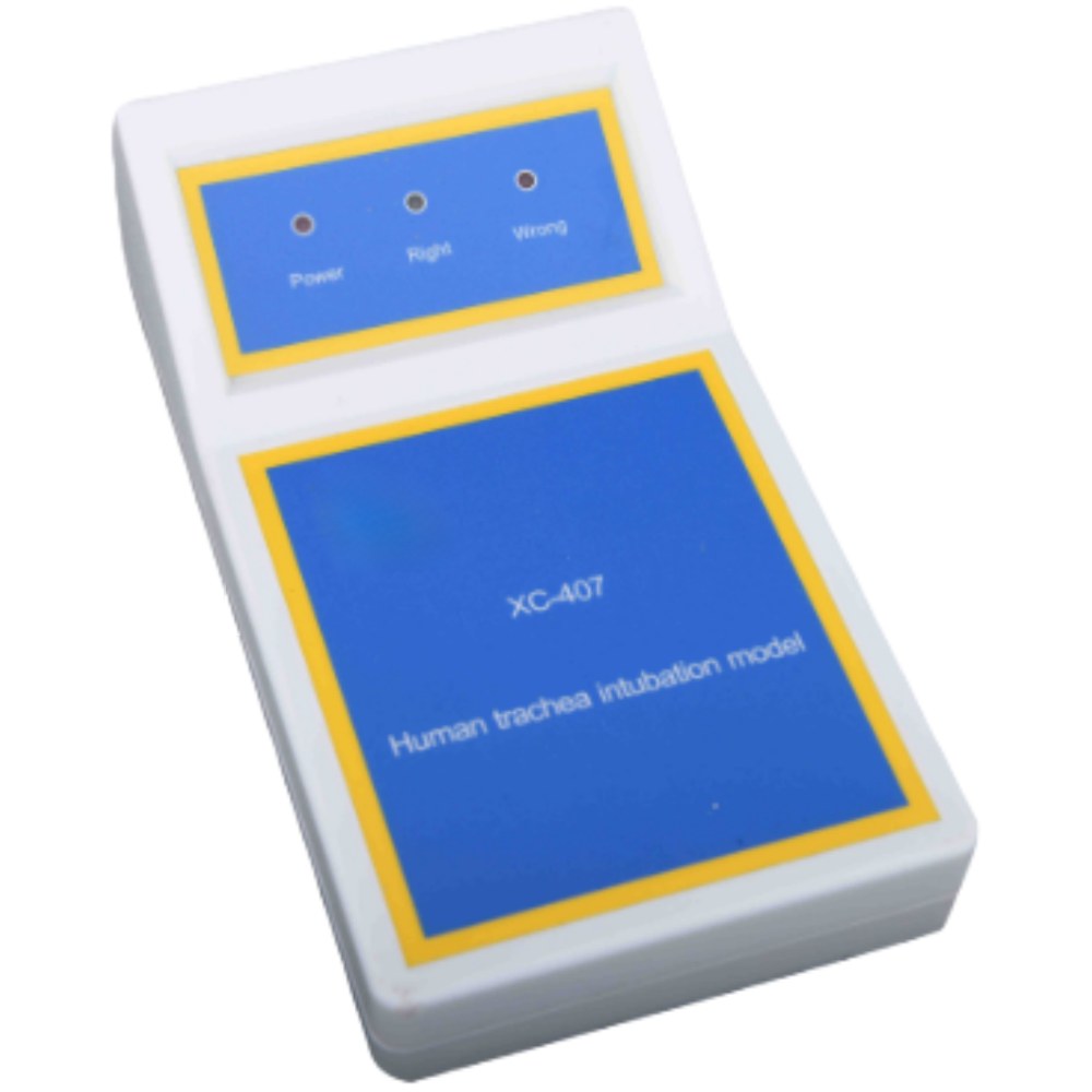 Full-Body Advanced CPR & Intubation Manikin with Colour LCD – Style 550 - Image 3