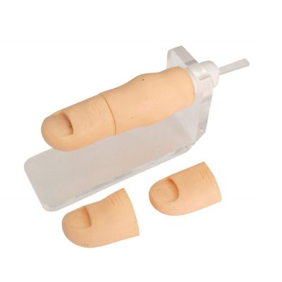 Ingrown Toenail Surgery Trainer