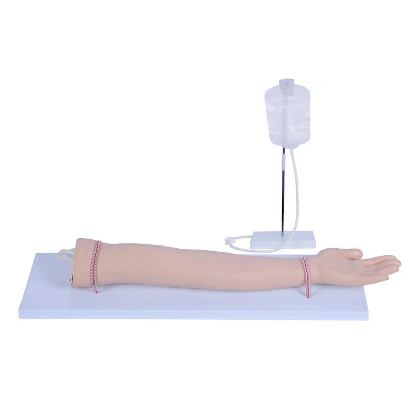 Injection Training Arm – with Infusion Set - Image 2