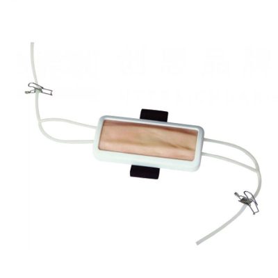 IV Injection & Blood Draw Practice Pad – Replaceable Veins