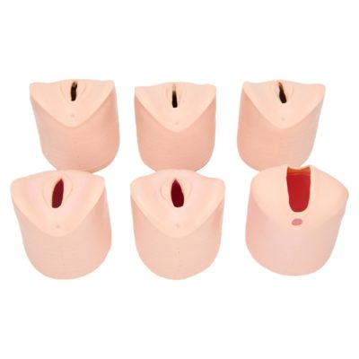 Labour Stages (Cervical Dilation) Module – 6 Stations
